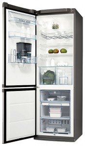 larawan Refrigerator Electrolux ERB 36405 X, pagsusuri