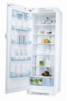 Electrolux ERES 35800 W Chladnička chladničky bez mrazničky preskúmanie najpredávanejší