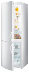 larawan Refrigerator Gorenje RK 6181 AW/2, pagsusuri