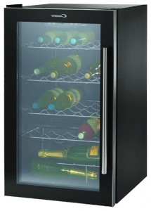 larawan Refrigerator Candy CCV 160 GL, pagsusuri
