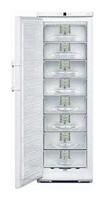 larawan Refrigerator Liebherr G 3113, pagsusuri