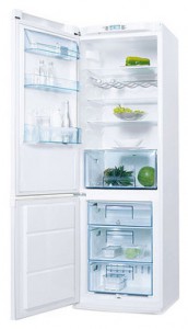 фото Холодильник Electrolux ERB 36402 W, огляд