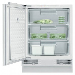 фото Холодильник Gaggenau RF 200-200, огляд