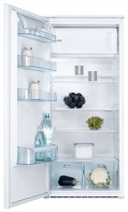 larawan Refrigerator Electrolux ERN 22500, pagsusuri