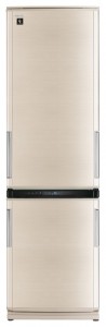 larawan Refrigerator Sharp SJ-WP360TBE, pagsusuri