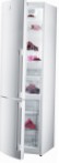 Gorenje RK 65 SYW2 Hladilnik hladilnik z zamrzovalnikom pregled najboljši prodajalec