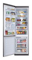 larawan Refrigerator Samsung RL-52 VEBIH, pagsusuri