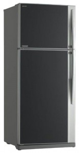 Foto Kühlschrank Toshiba GR-RG70UD-L (GU), Rezension