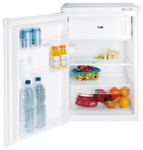 larawan Refrigerator Indesit TFAA 10, pagsusuri