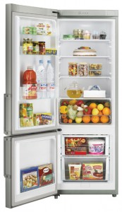 Kuva Jääkaappi Samsung RL-29 THCMG, arvostelu