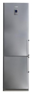 larawan Refrigerator Samsung RL-38 HCPS, pagsusuri