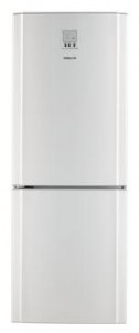 Kuva Jääkaappi Samsung RL-26 DESW, arvostelu