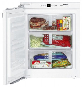 фото Холодильник Liebherr IG 956, огляд