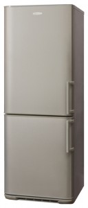 larawan Refrigerator Бирюса M143 KLS, pagsusuri