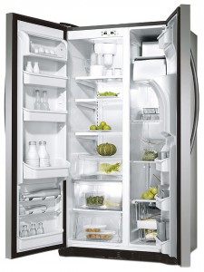 larawan Refrigerator Electrolux ERL 6296 XX, pagsusuri