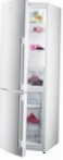 Gorenje RK 65 SYW-F1 Ledusskapis ledusskapis ar saldētavu pārskatīšana bestsellers