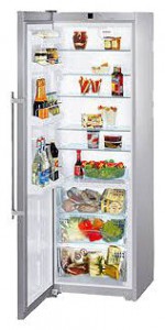larawan Refrigerator Liebherr KBesf 4210, pagsusuri