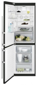 larawan Refrigerator Electrolux EN 93488 MB, pagsusuri