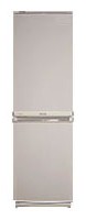 Фото Холодильник Samsung RL-17 MBMS, обзор
