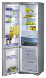 larawan Refrigerator Gorenje RK 65365 E, pagsusuri
