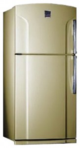 фото Холодильник Toshiba GR-Y74RD СS, огляд