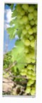 Snaige RF34SM-S10021 34-16 Kühlschrank kühlschrank mit gefrierfach Rezension Bestseller