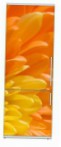 Snaige RF34SM-S10021 34-10 Kühlschrank kühlschrank mit gefrierfach Rezension Bestseller