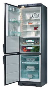 larawan Refrigerator Electrolux QT 3120 W, pagsusuri