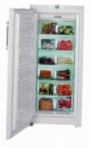 Liebherr GNP 31560 Frigo freezer armadio recensione bestseller