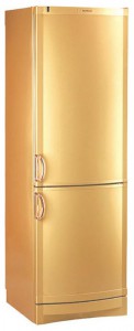 larawan Refrigerator Vestfrost BKF 404 E Gold, pagsusuri