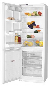 larawan Refrigerator ATLANT ХМ 6019-032, pagsusuri