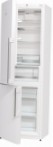 Gorenje RK 61 FSY2W Køleskab køleskab med fryser anmeldelse bedst sælgende