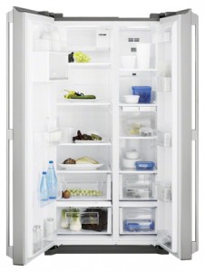 larawan Refrigerator Electrolux EAL 6240 AOU, pagsusuri