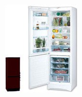 larawan Refrigerator Vestfrost BKF 404 Brown, pagsusuri