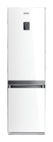 larawan Refrigerator Samsung RL-55 VTE1L, pagsusuri
