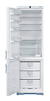 larawan Refrigerator Liebherr KGT 4066, pagsusuri