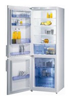 larawan Refrigerator Gorenje RK 60355 DW, pagsusuri