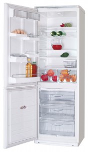 larawan Refrigerator ATLANT ХМ 6019-012, pagsusuri