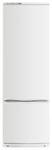 larawan Refrigerator ATLANT ХМ 6022-012, pagsusuri