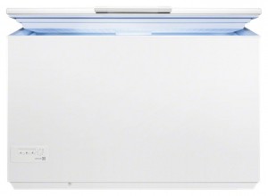 รูปถ่าย ตู้เย็น Electrolux EC 4200 AOW, ทบทวน
