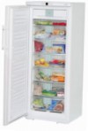 Liebherr GNP 2906 Frigo congélateur armoire examen best-seller