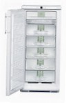 Liebherr GN 2413 Frigo freezer armadio recensione bestseller