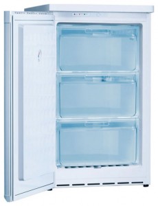 larawan Refrigerator Bosch GSD10N20, pagsusuri