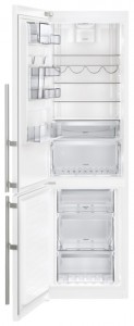 Kuva Jääkaappi Electrolux EN 3889 MFW, arvostelu