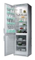 larawan Refrigerator Electrolux ERB 3545, pagsusuri