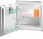 Gorenje RI 090 C Refrigerator freezer sa refrigerator pagsusuri bestseller