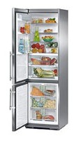 larawan Refrigerator Liebherr CBNes 3857, pagsusuri