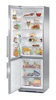 larawan Refrigerator Liebherr CNPes 3867, pagsusuri