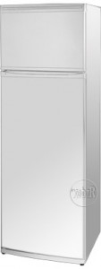 larawan Refrigerator Hotpoint-Ariston EDF 335 X/1, pagsusuri