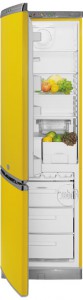 larawan Refrigerator Hotpoint-Ariston ERFV 402XYW, pagsusuri